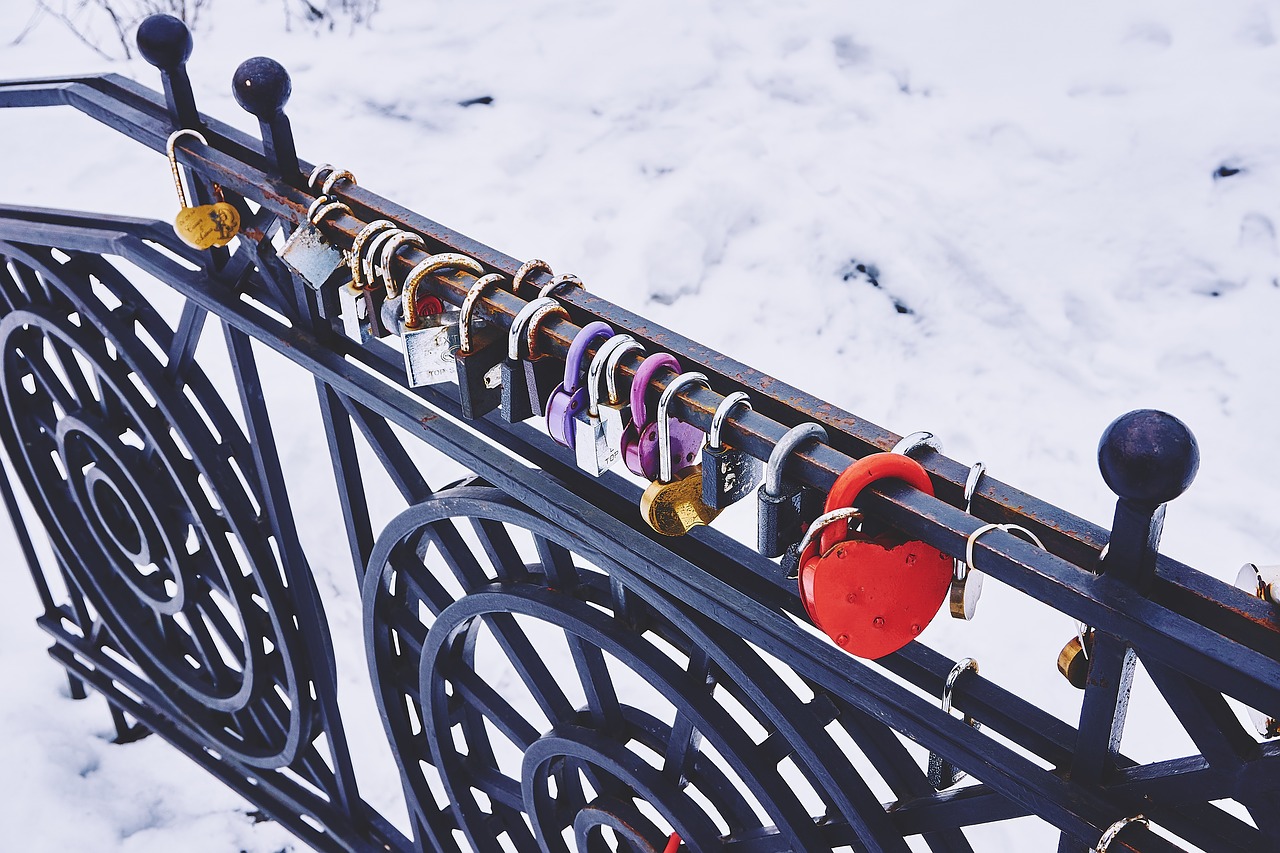 Image - padlocks locked railing snow