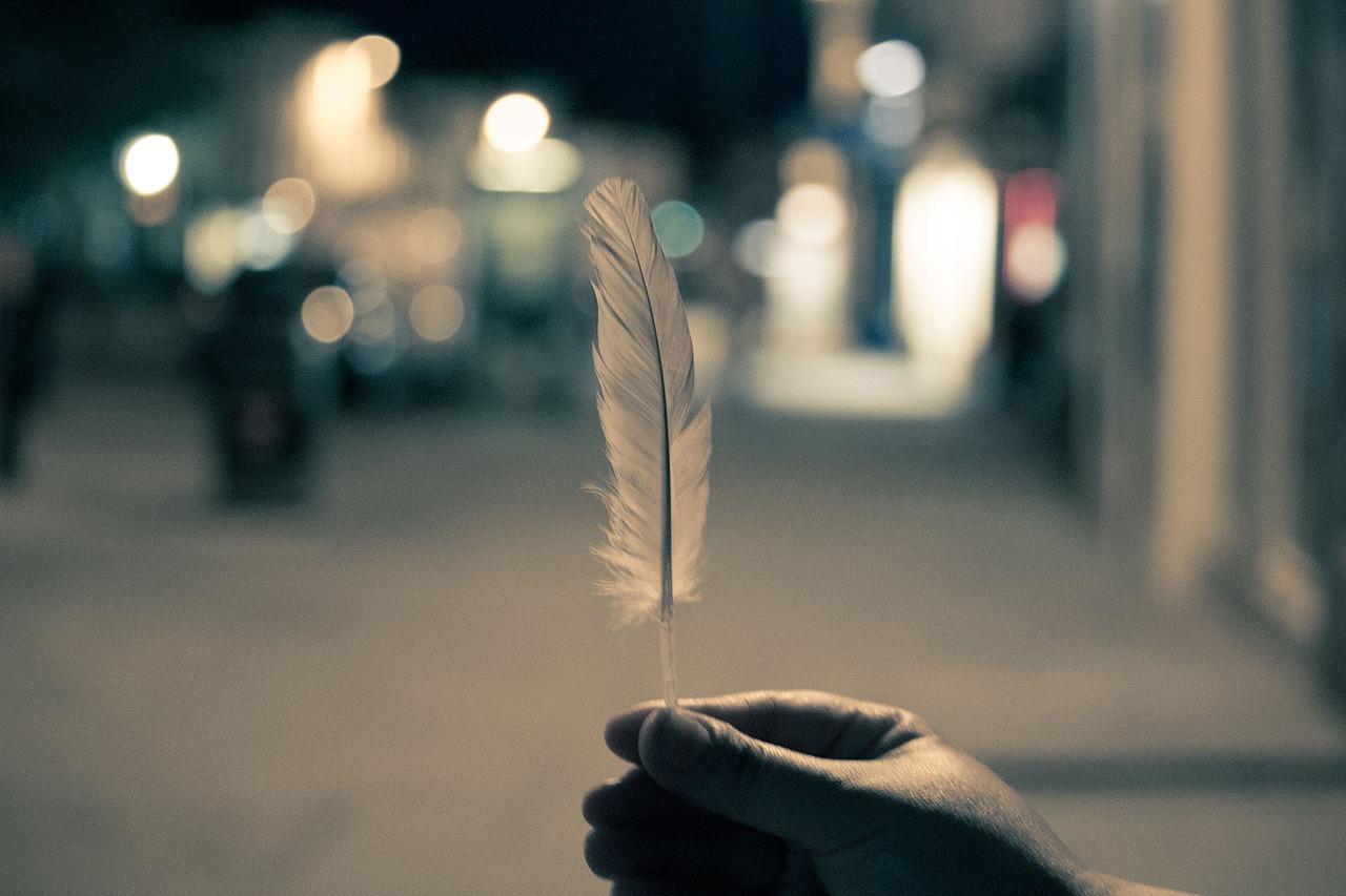 Image - feather hands night lights blurry