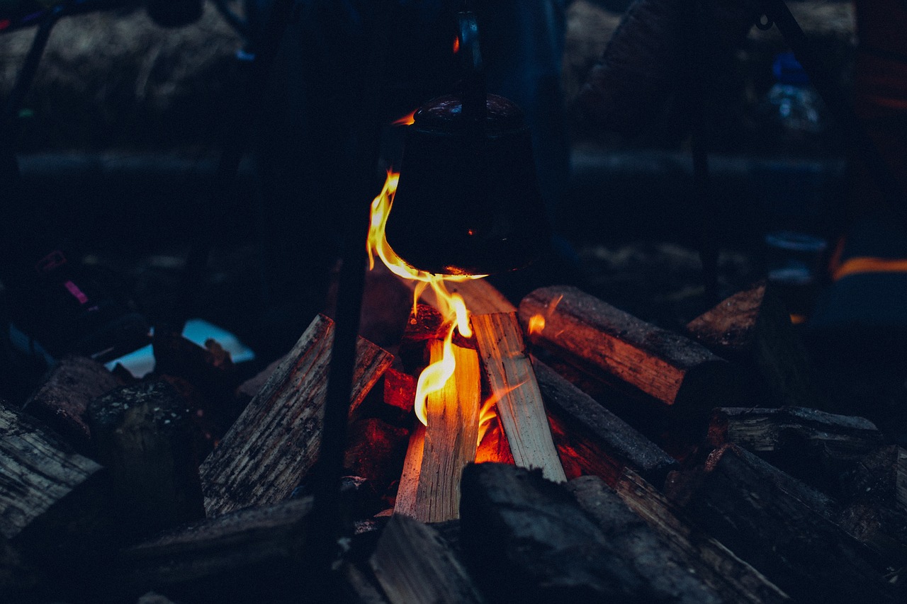 Image - bonfire fire flames wood logs