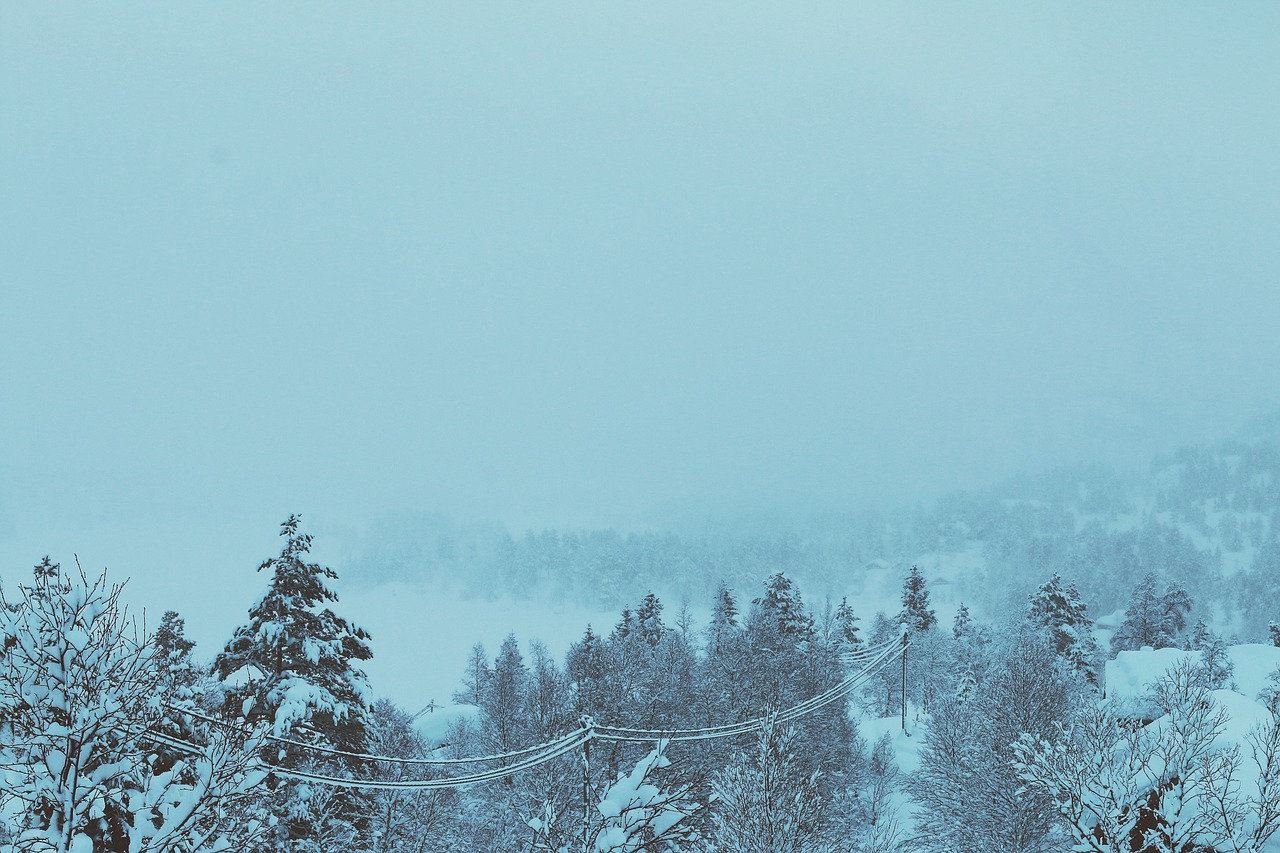Image - winter snow cold blizzard foggy