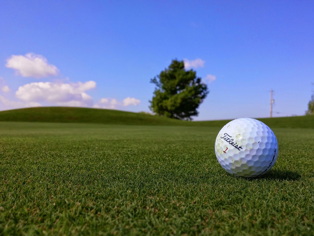 Image - titleist golf ball green grass