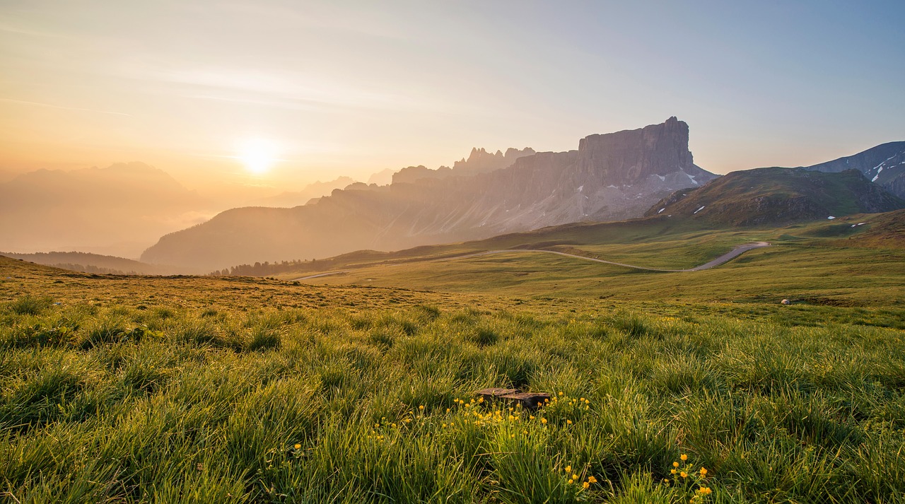 Image - sunset landscape nature grass