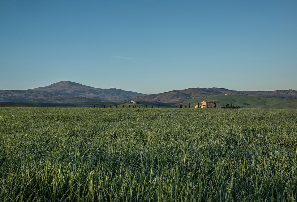 Image - green grass fields rural