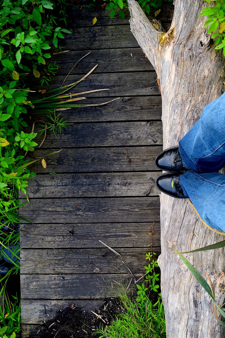 Image - hiking wooden bridge bridge nature