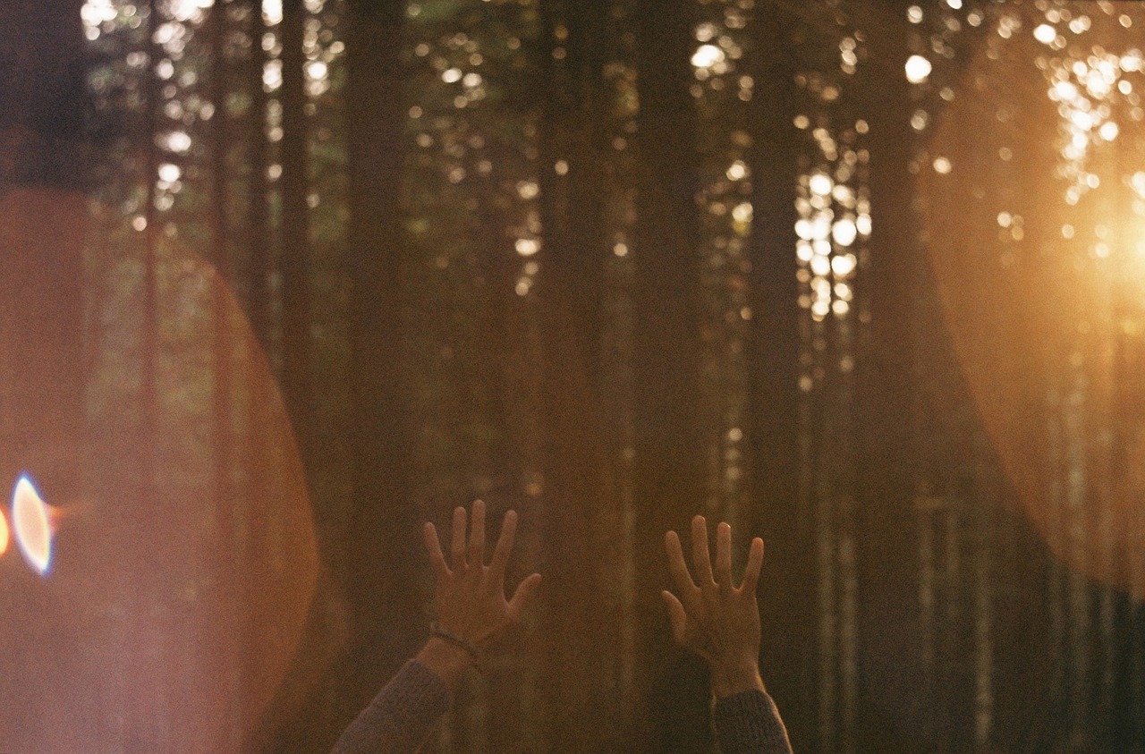 Image - hands sun rays sunshine trees