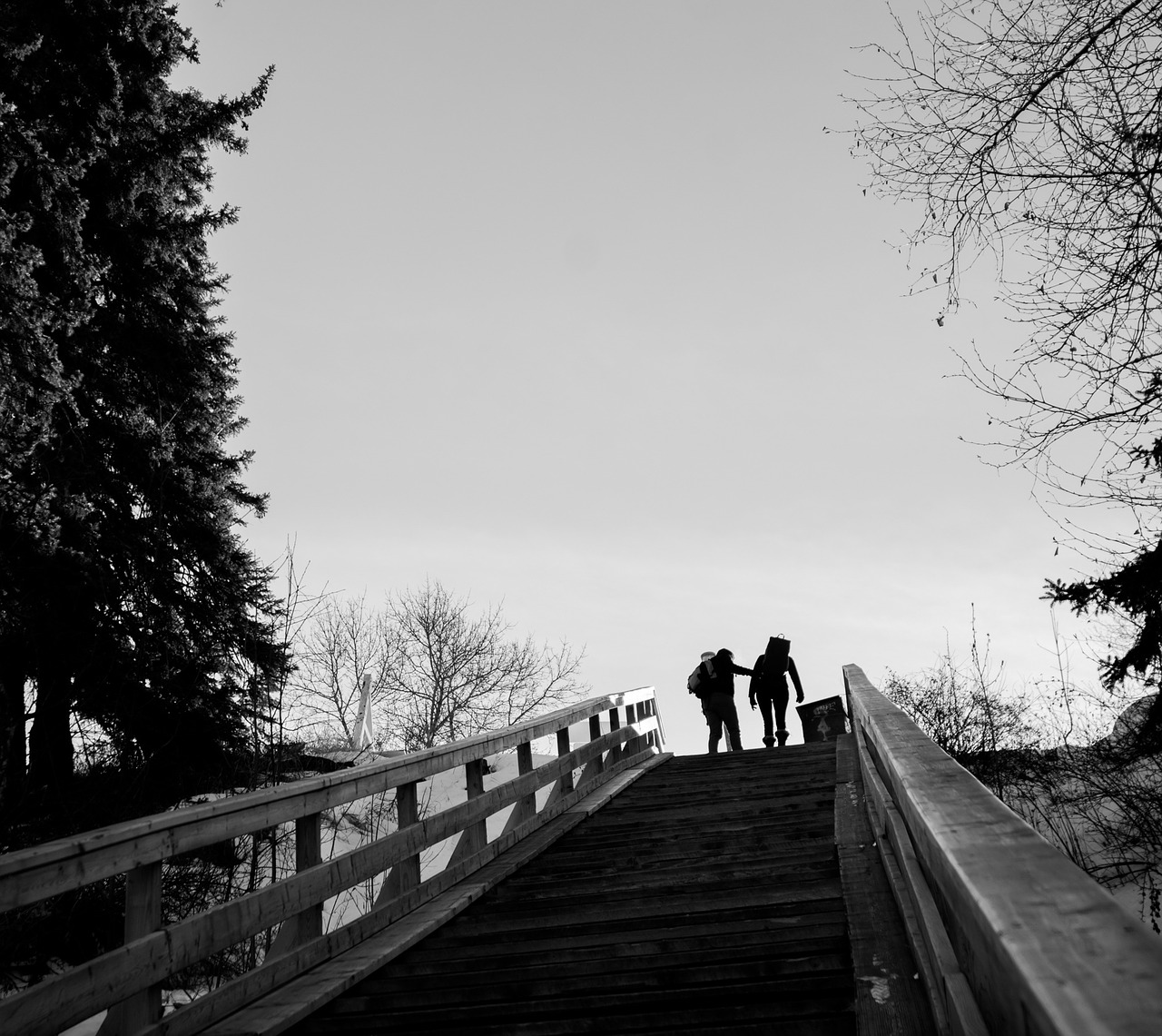 Image - steps stairs people