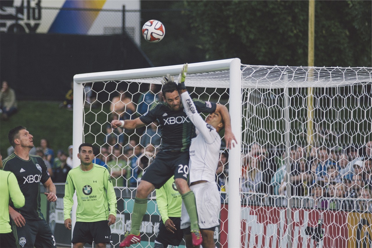 Image - soccer ball net sports athletes