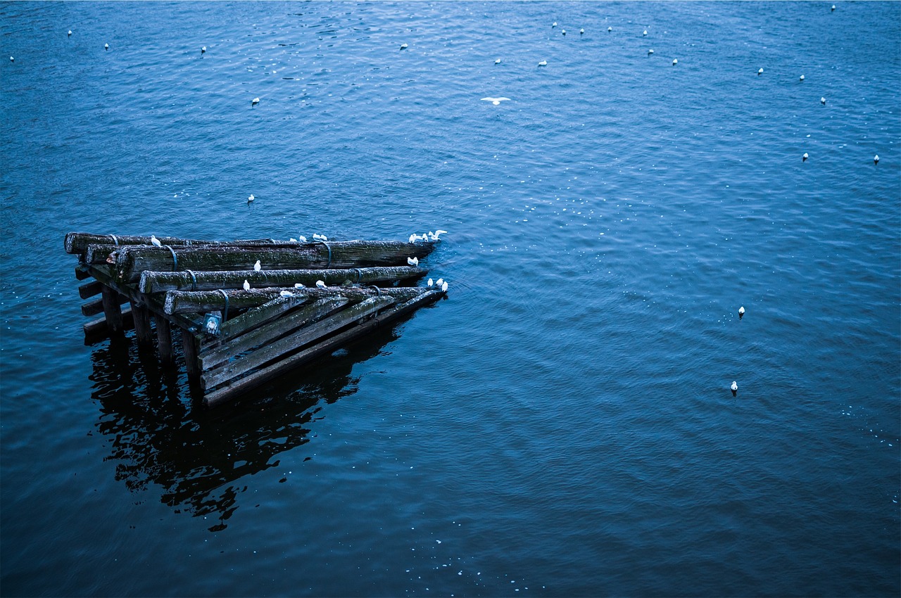 Image - wood logs ramp water lake blue