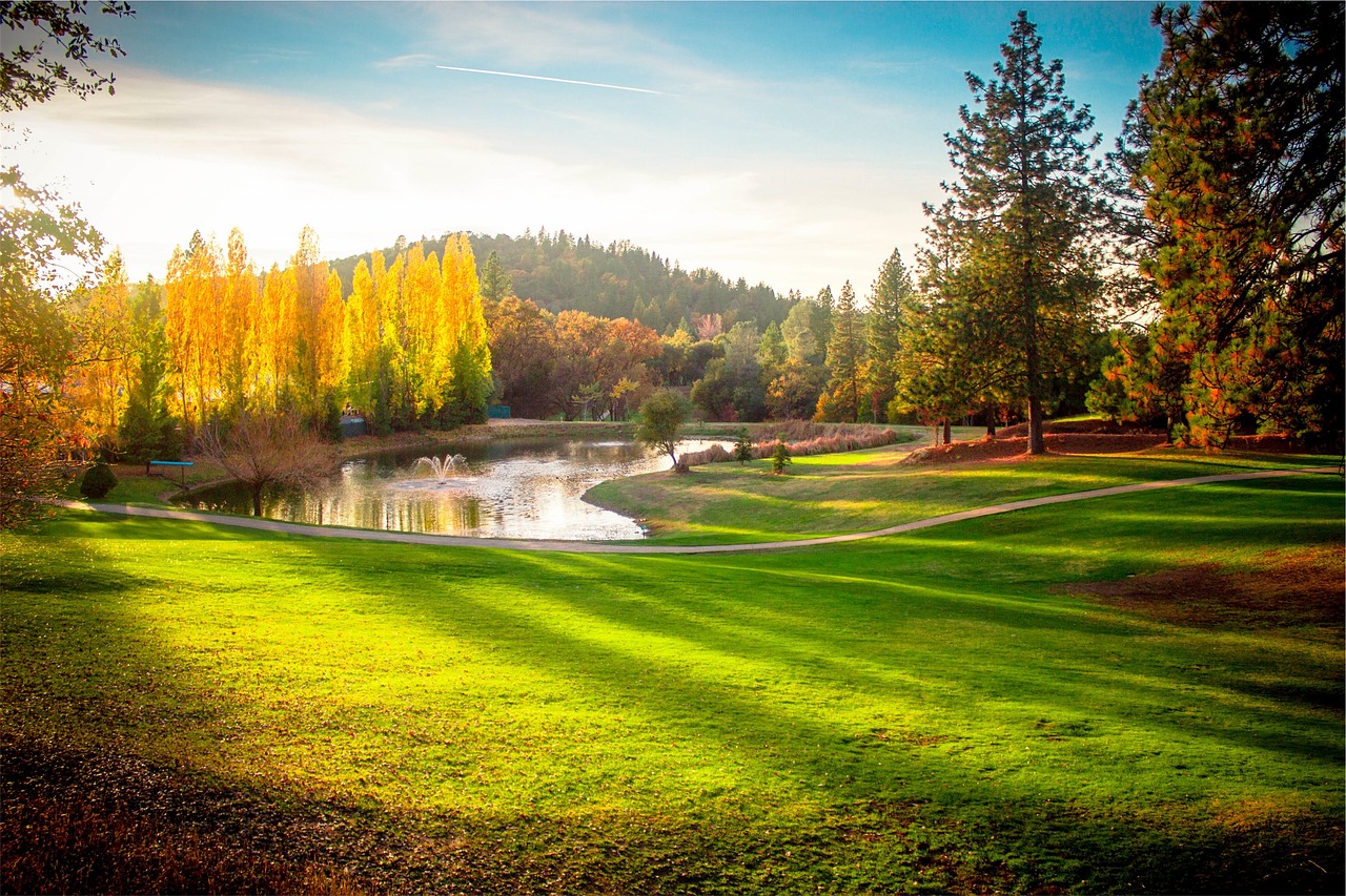 Image - park trees grass autumn fountain