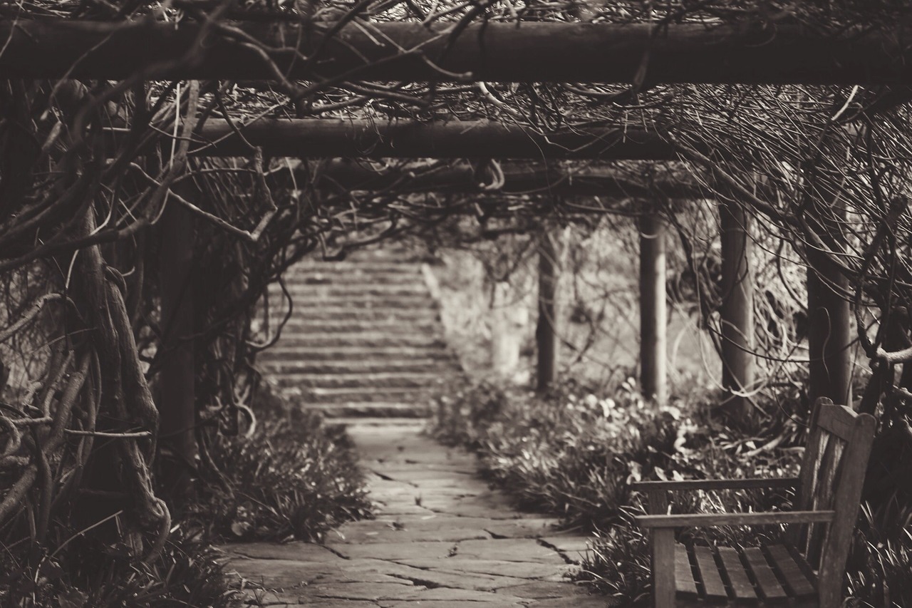 Image - vines trees bushes plants bench