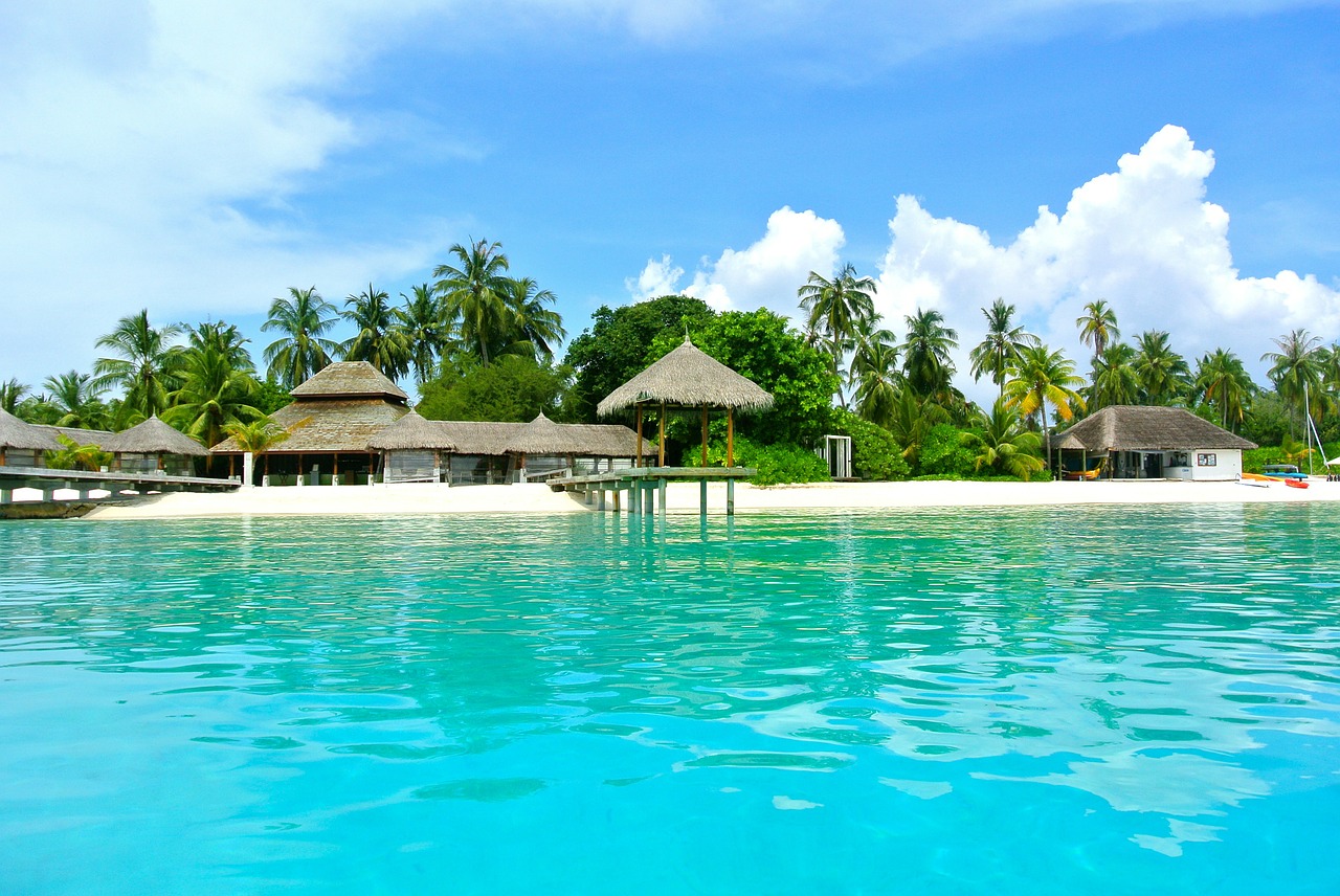 Image - maldives coconut tree sea resort