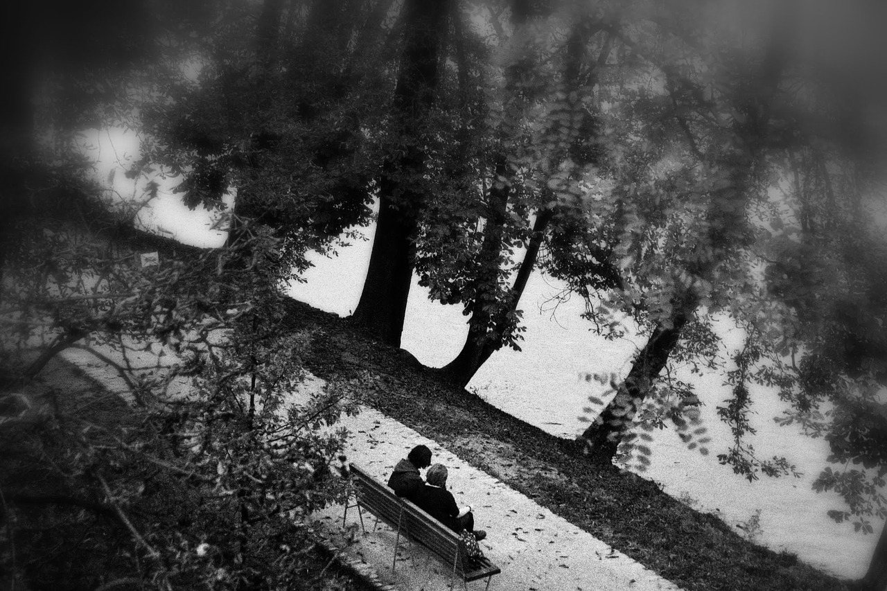 Image - park bench path people trees