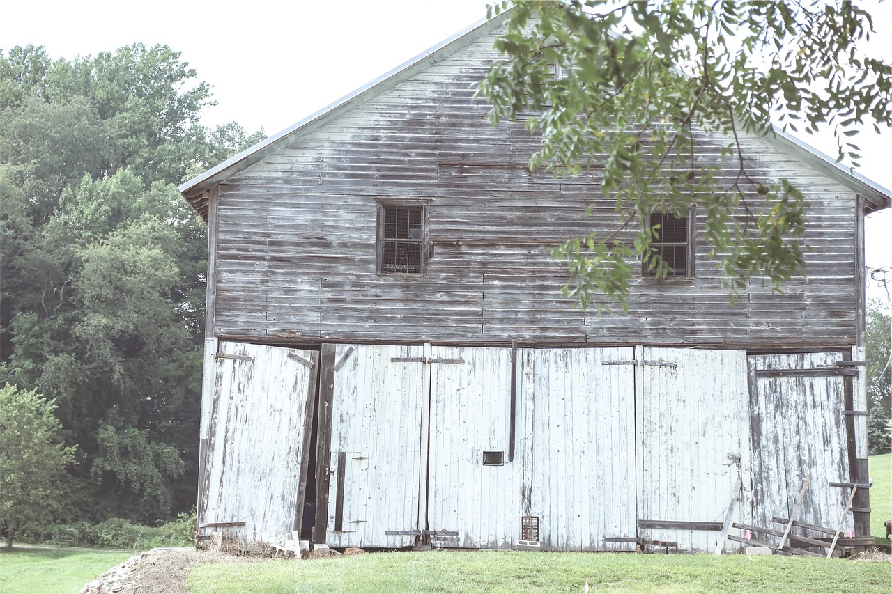 Image - wood barn rural country trees