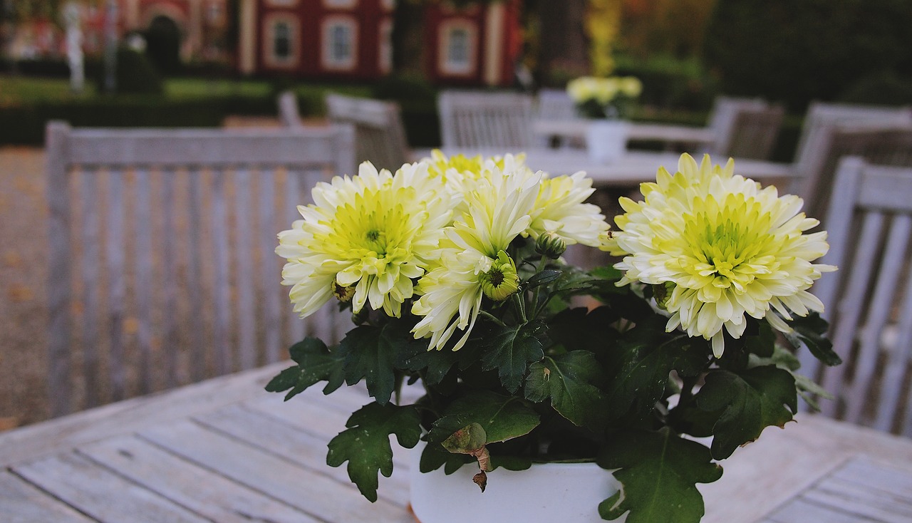 Image - bouquet flowers wood tables