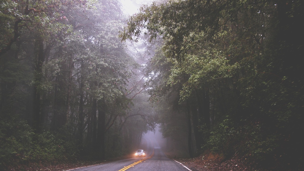 Image - road fog mist car driving