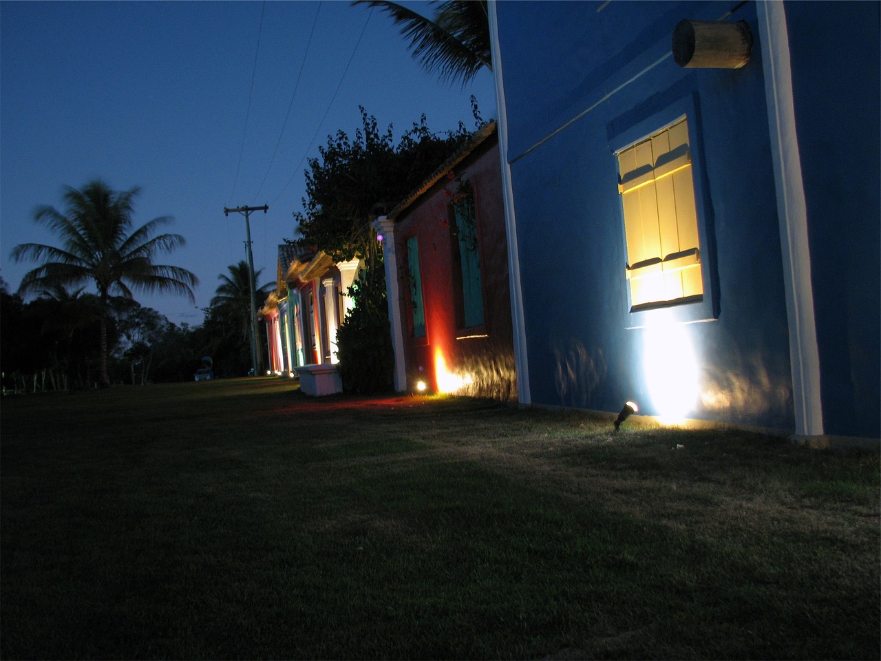 Image - night dark lights grass trees