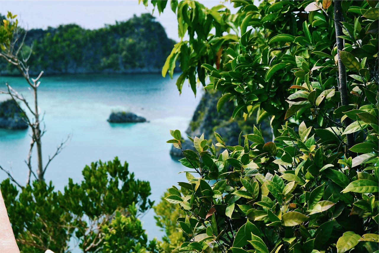 Image - plants leaves green water cliffs