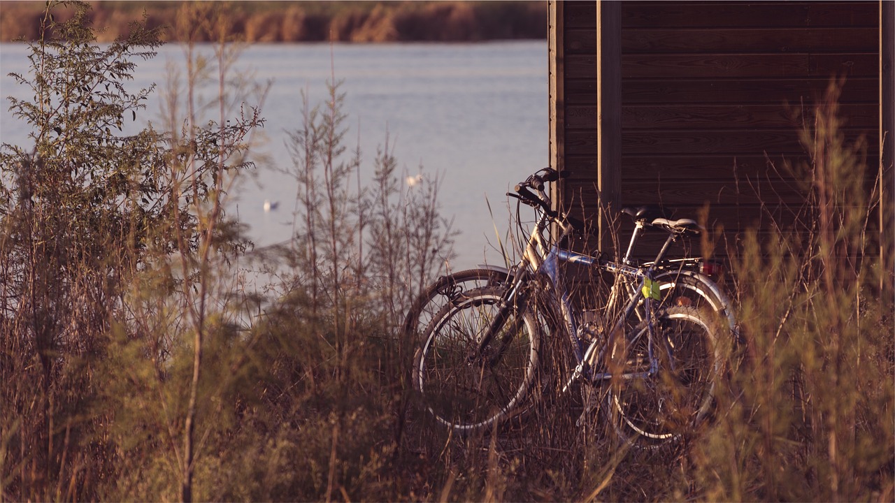 Image - bikes bicycles plants lake water