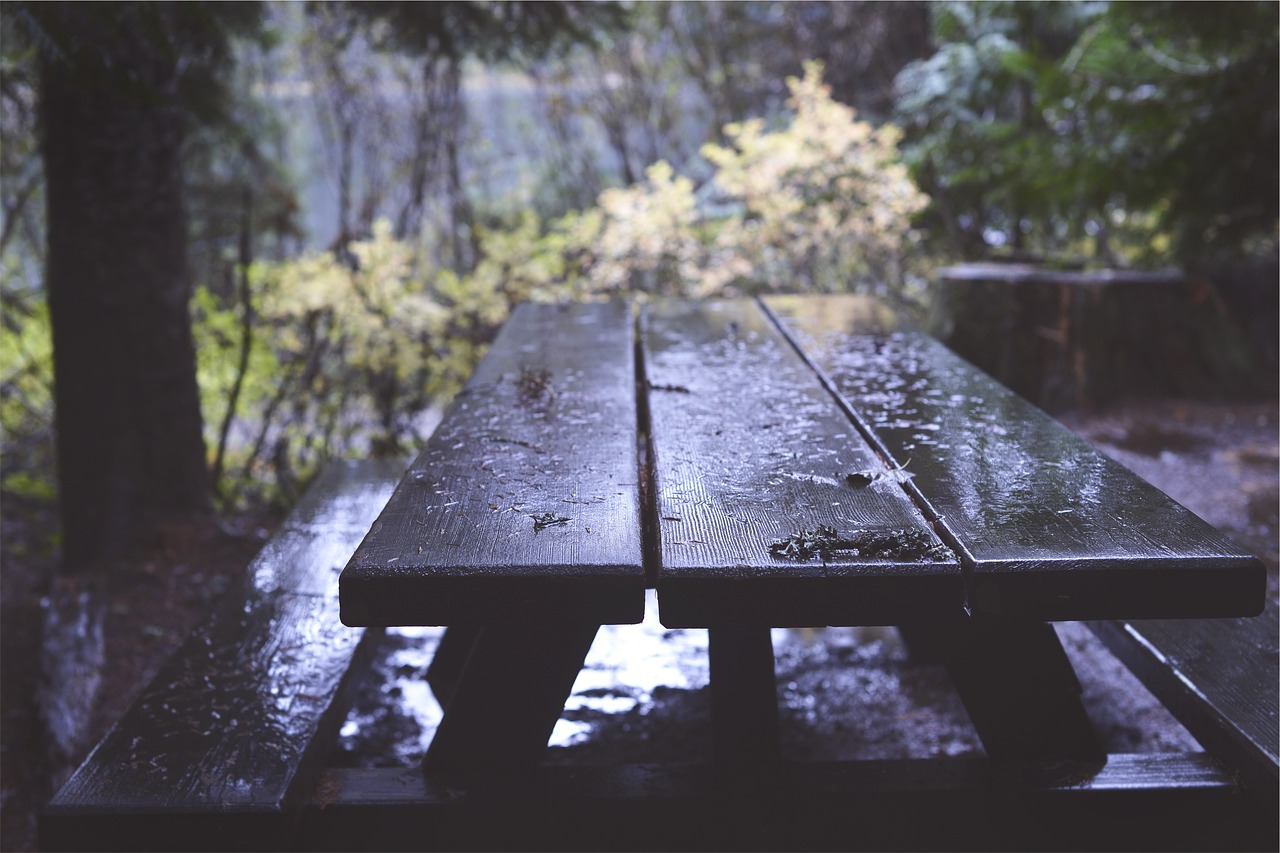 Image - picnic table wood raining