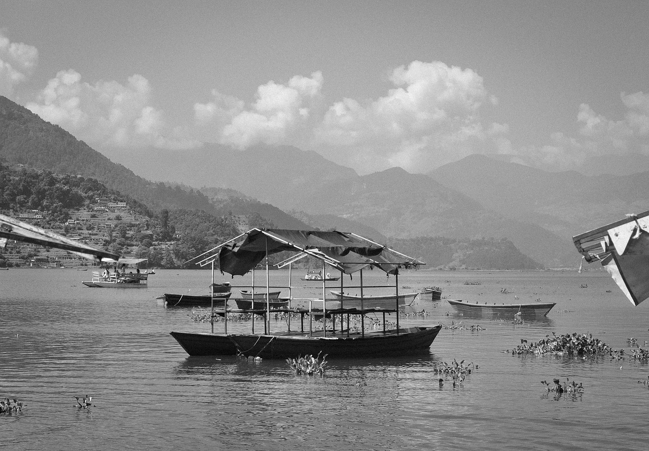 Image - fewa lake boats water coast