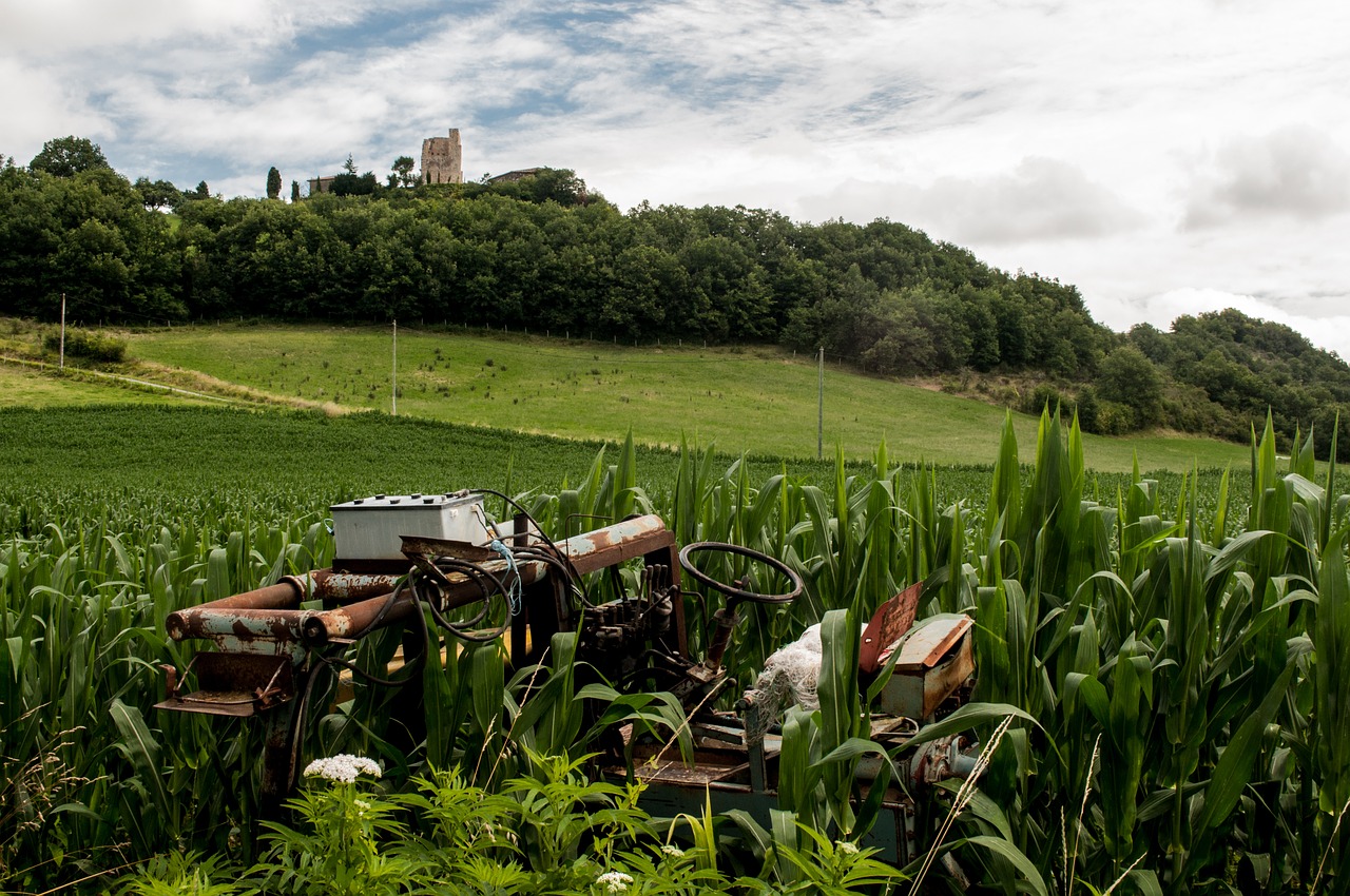 Image - tractor broken rust green fields