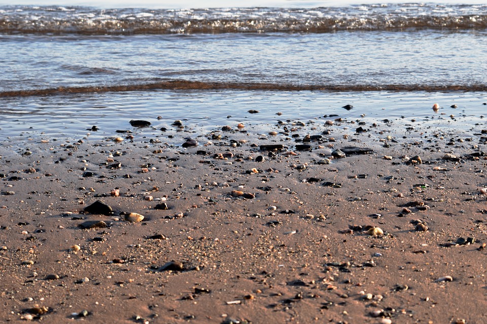 Image - beach sea water shore sand rocks