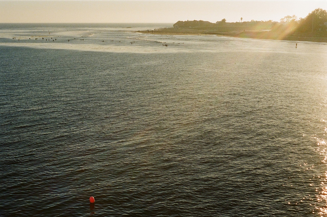 Image - malibu ocean sea surfing swimming