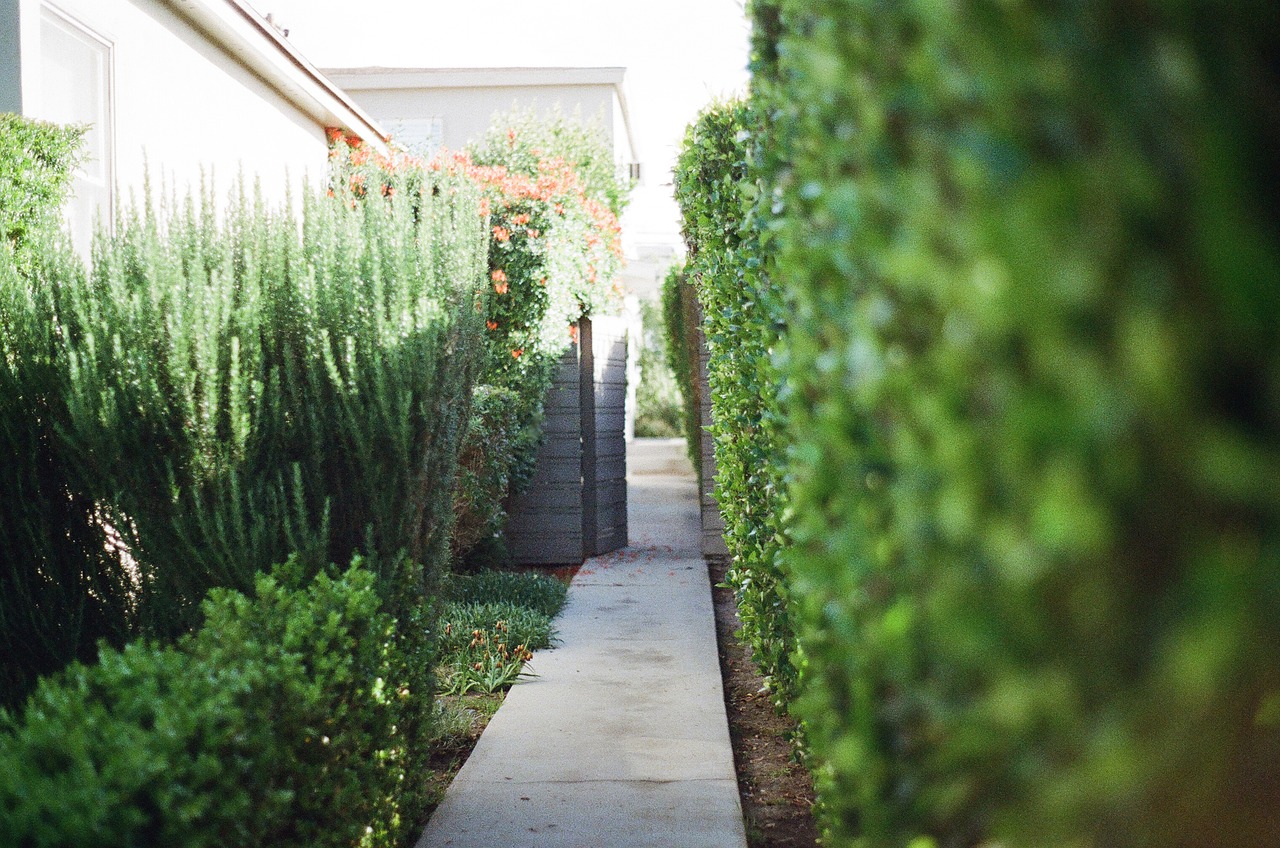 Image - walkway stones garden green plants