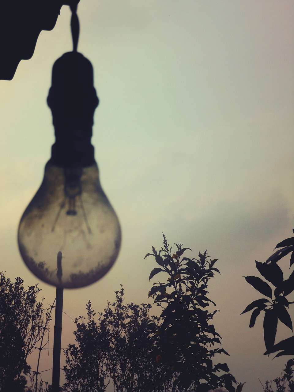 Image - light bulb sky trees