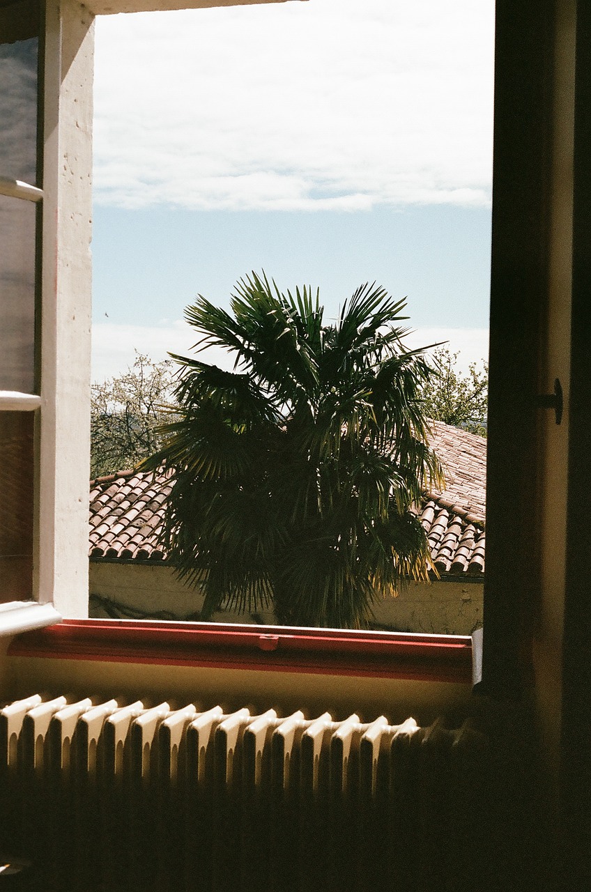 Image - window palm tree heater radiator