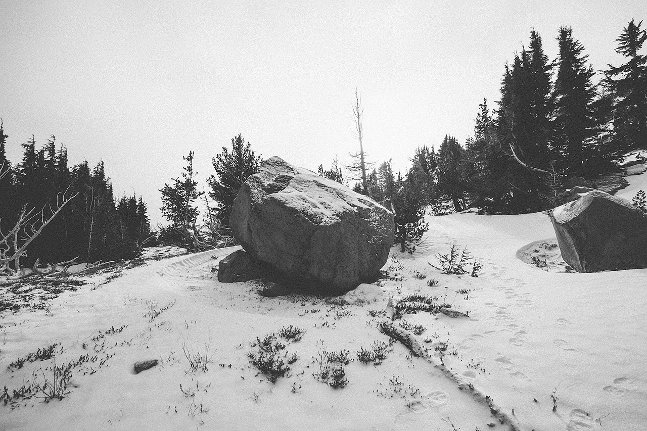 Image - rock bolder trees snow