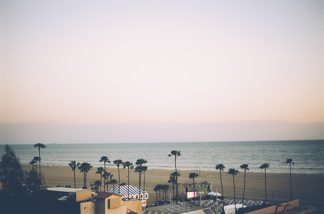 Image - santa monica beach sand palm trees