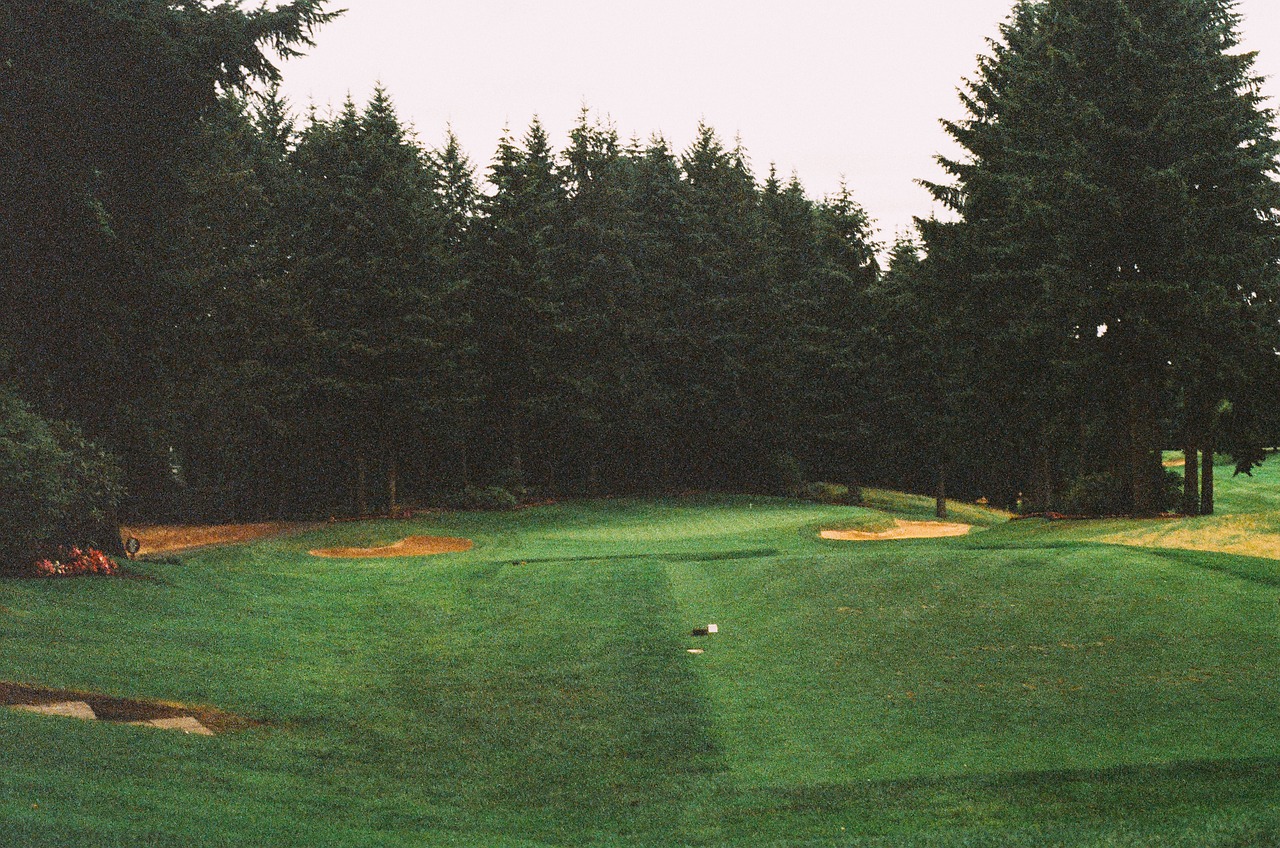 Image - golf course fairway green sand trap