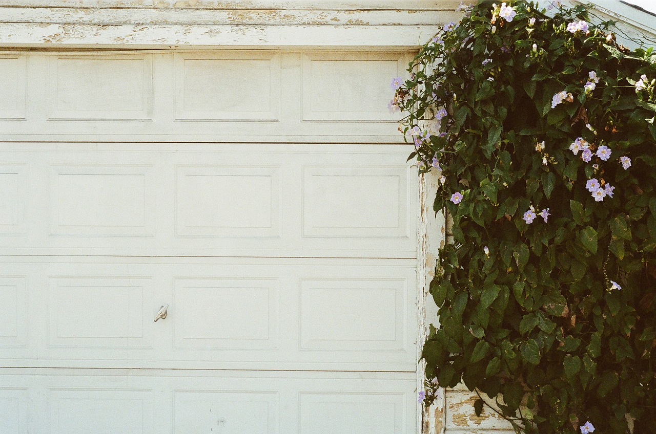 Image - garage door white plant
