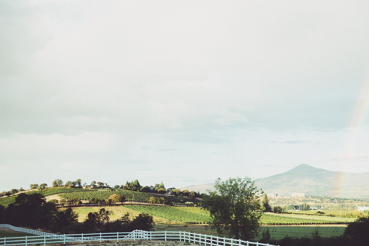 Image - vineyard farm country grass fields