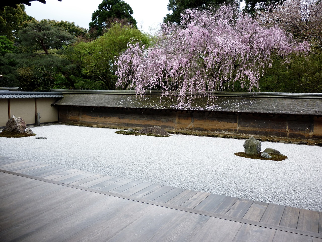 Image - zen garden japanese asian flowers