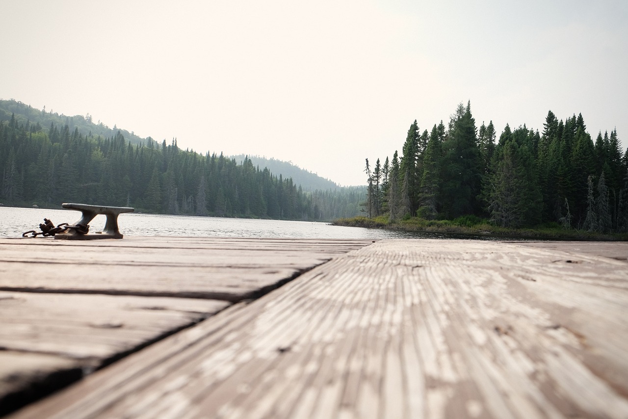 Image - wood dock lake water forest trees