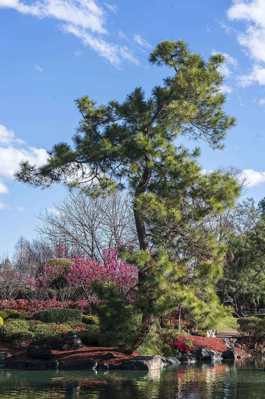 Image - zen zen garden japanese zen garden