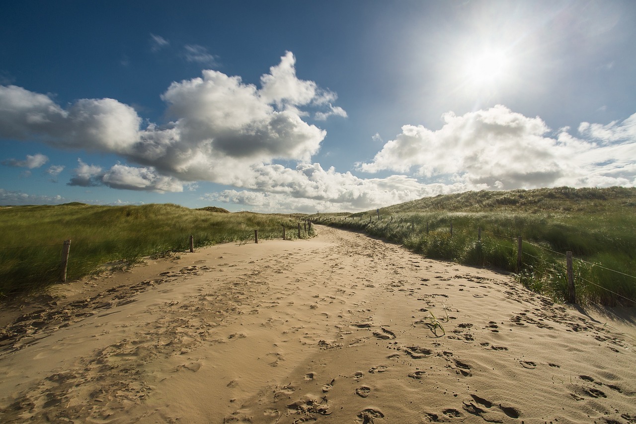 Image - dune dunes sand dune sand sea
