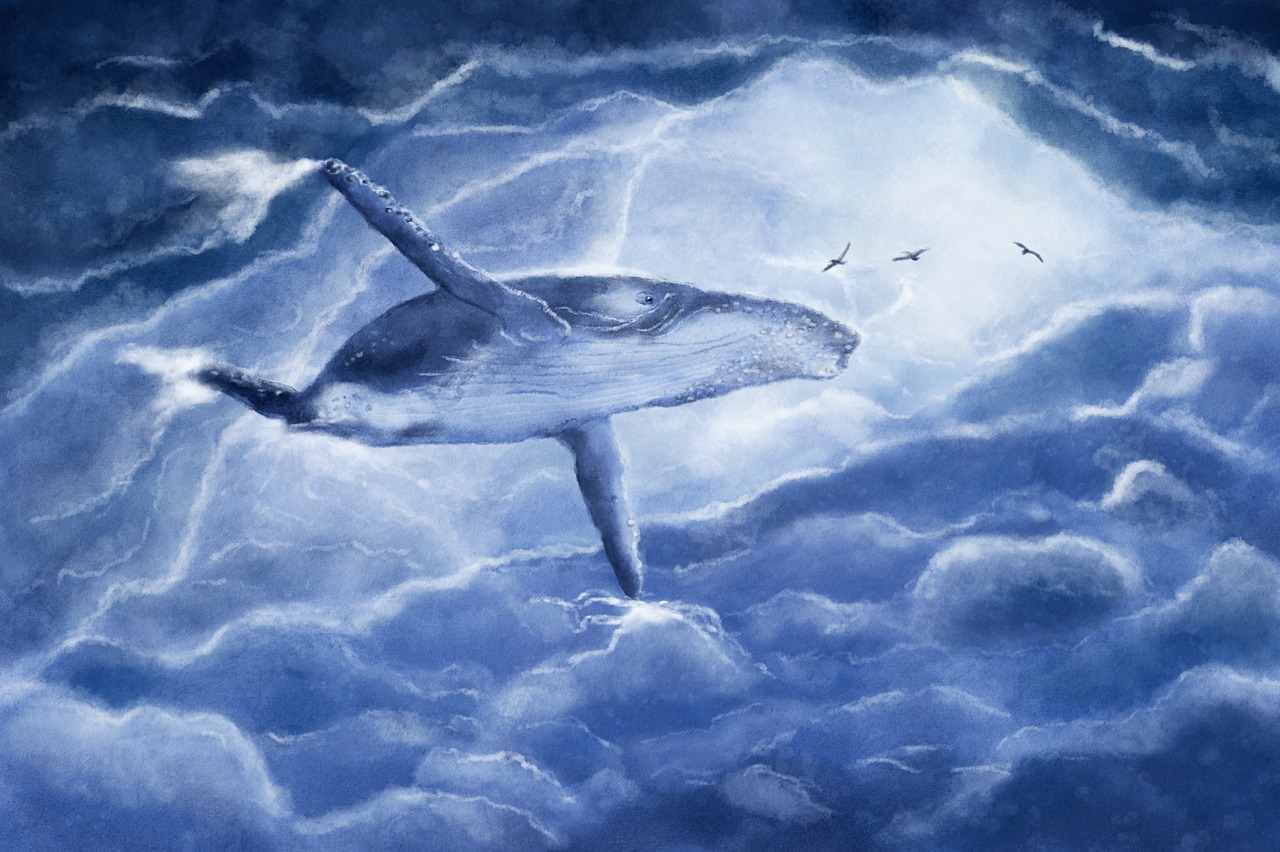 Image - the whale vráskavec clouds fantasy