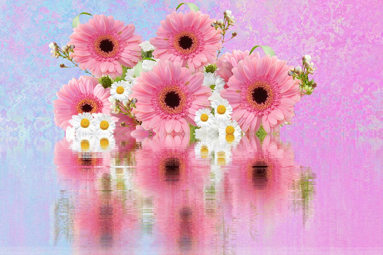 Image - gerbera schnittblume pink blossom