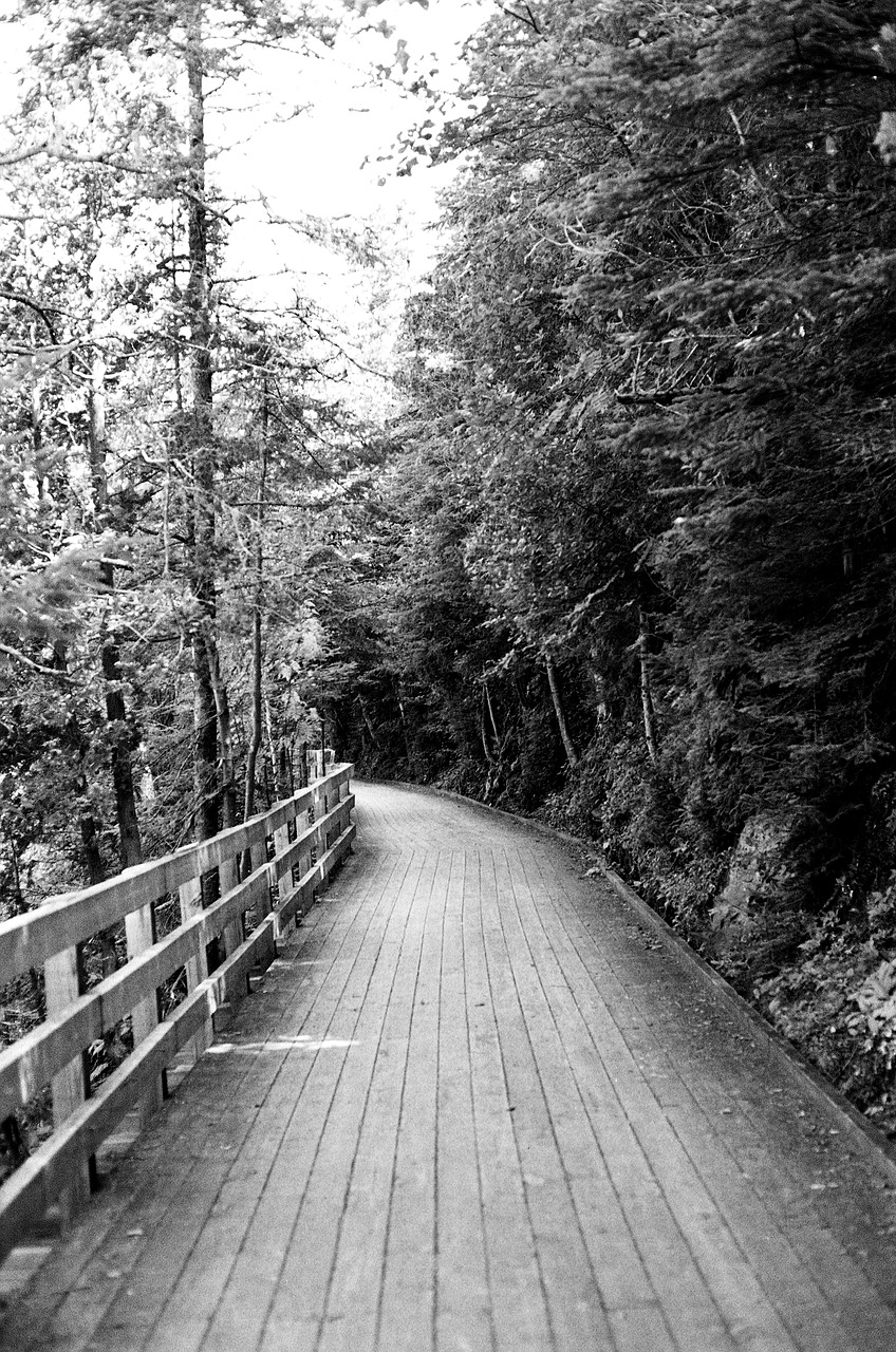 Image - wood path trail walkway railing