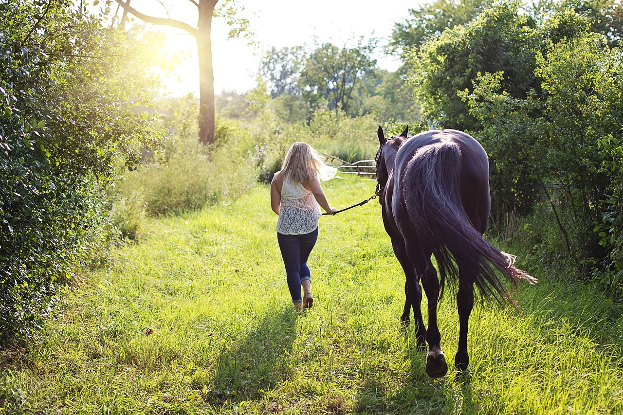 Image - woman with horse horse woman animal