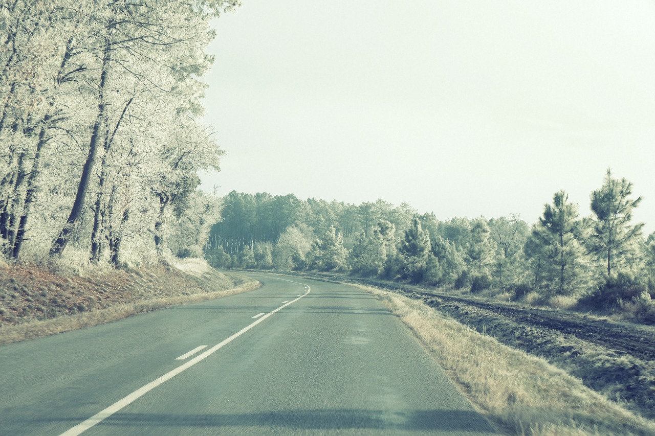 Image - road pavement highway rural trees