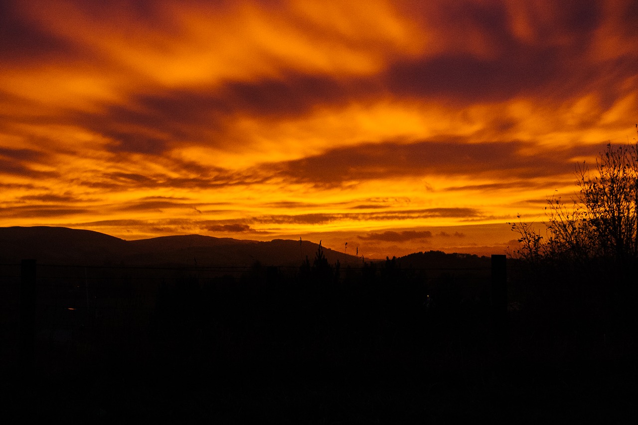 Image - sunset dawn dark night orange