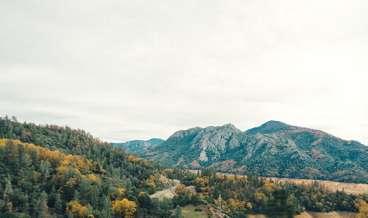 Image - mountains hills forest woods