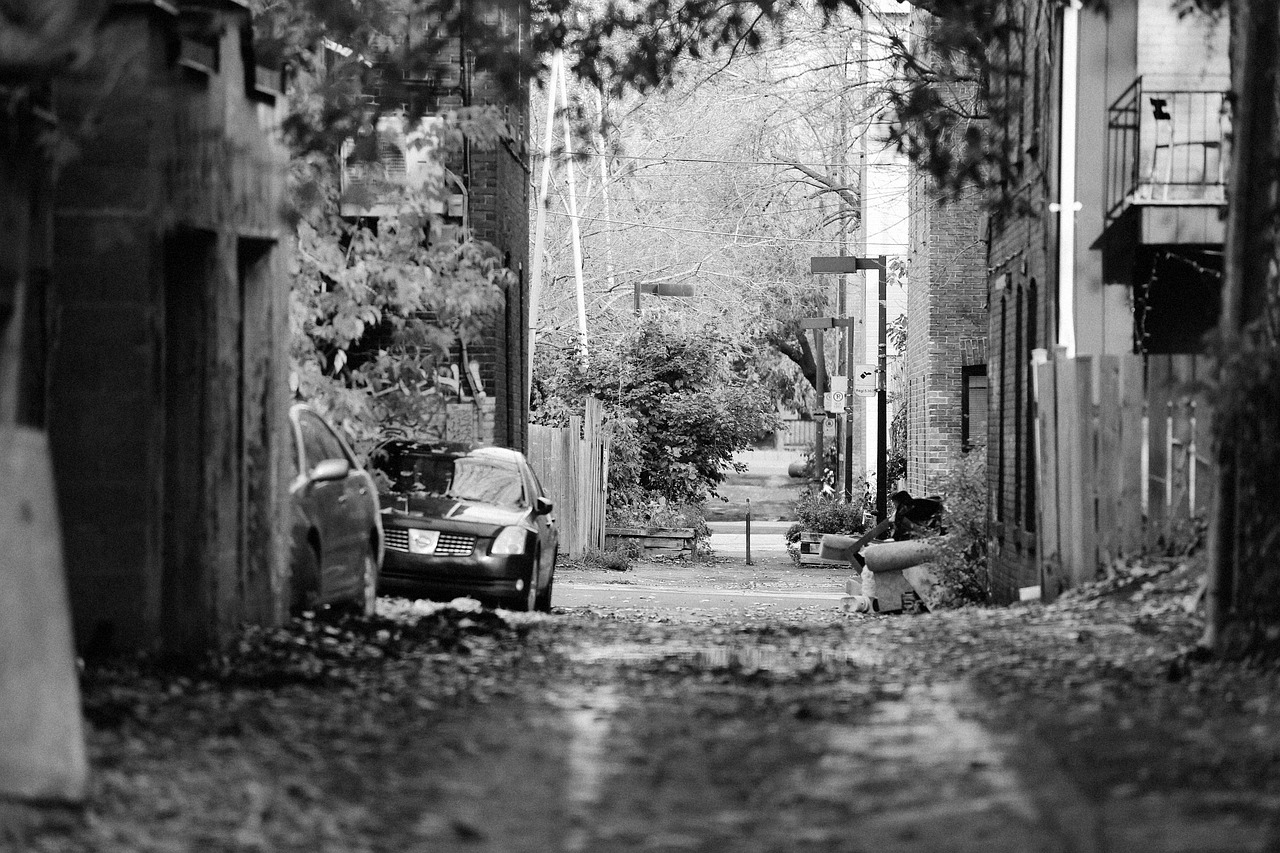 Image - alley street fences apartments