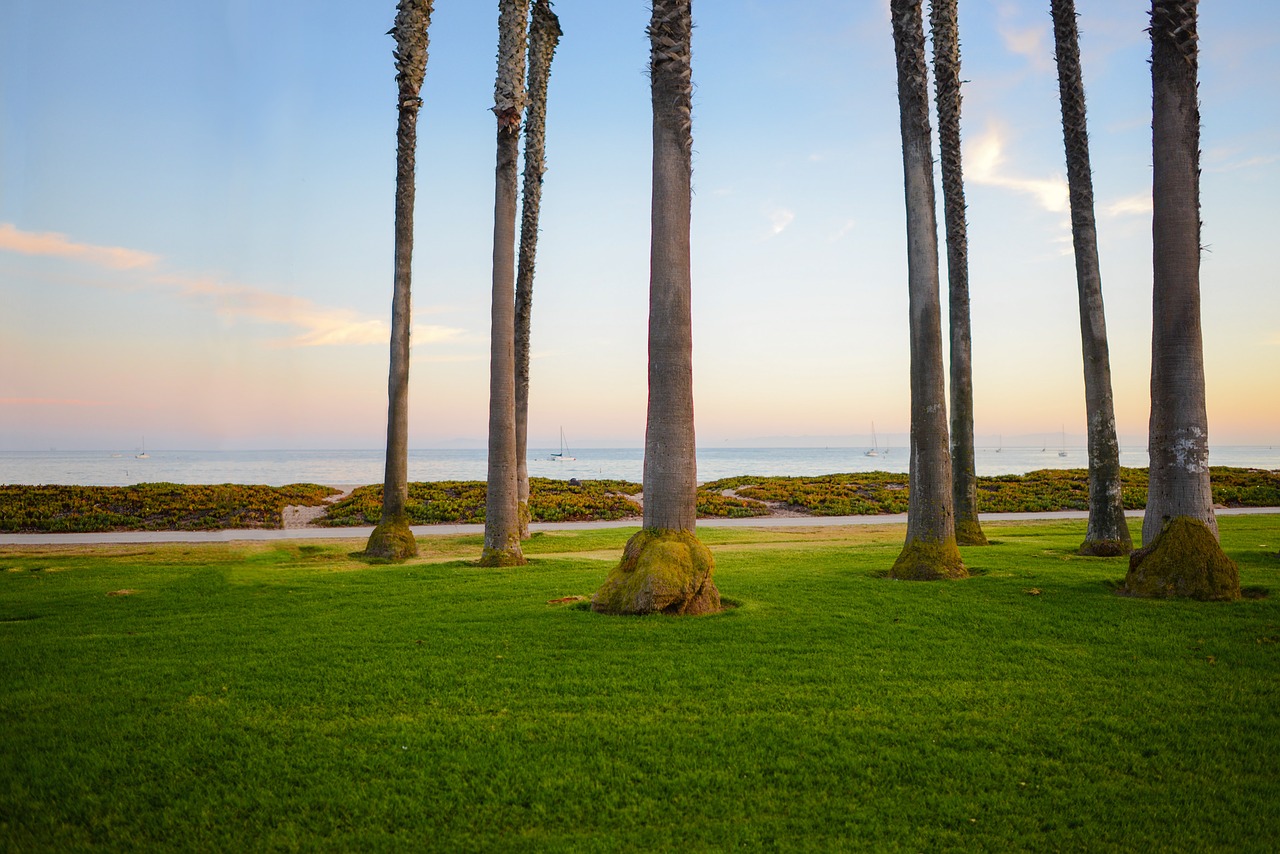 Image - grass field path trees sky