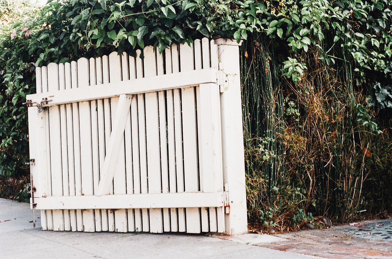 Image - white gate fence vines bushes