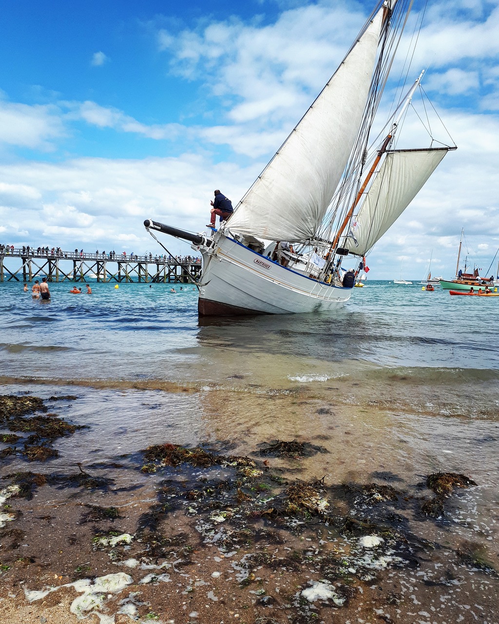 Image - ocean sailboat sailing pontoon